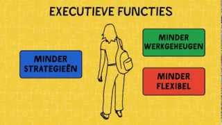 Autisme Wat zijn Executieve functies [upl. by Smoht]