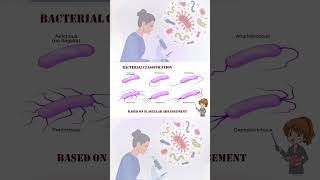 Types of bacteria based on its flagellar arrangements [upl. by Gilligan]