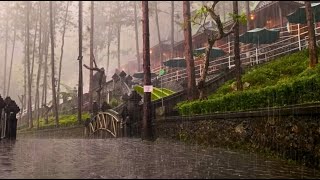 Mountain Rain amp Thunderstorm Sleep Sounds  Ambient Noise For Sleep amp Meditation [upl. by Wittenburg180]