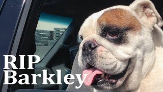 RIP Barkley [upl. by Atinet]