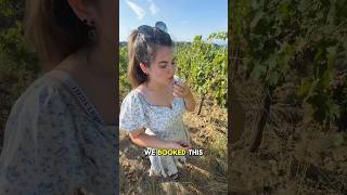 Wine tasting done the right way 😂 italy travelvlog [upl. by Winnick516]