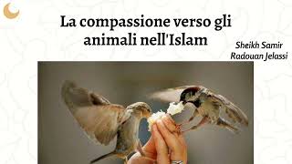 La compassione verso gli animali nellIslam  Sheikh Samir Radouan Jelassi [upl. by Aitam482]