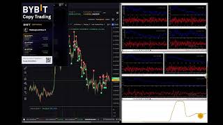 Bybit Copy Trading  20241009 [upl. by Haraj]