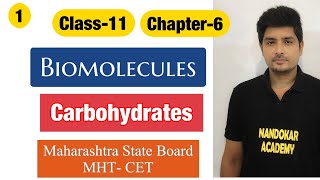 Class11 Chapter6 Biomolecules Carbohydrate Monosaccharides Maharashtra state board Lecture1 [upl. by Nevag828]