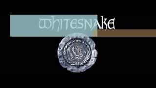 Whitesnake Here I Go Again lyrics [upl. by Halvaard825]