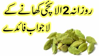 Rozana 2 Elaichi khane ke fayde  Benefits of Eating 2 Cardamom Daily [upl. by Adnuhsor479]