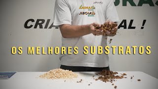 MELHORES SUBSTRATOS PARA SERPENTES [upl. by Yenhoj]