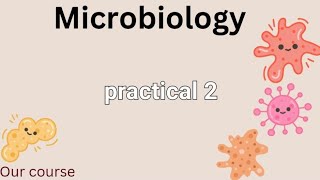 P1 micro bacteriological examination of vomitus and stool  GIT42 [upl. by Benji231]