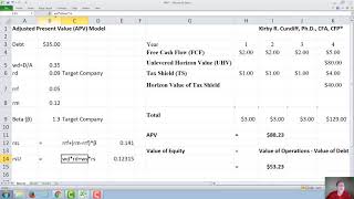 Adjusted Present Value APV [upl. by Enirolf]