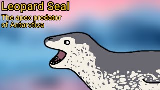 Leopard Seal The apex predator of Antarctica [upl. by Bramwell883]