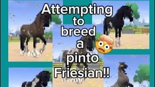 ATTEMPTING TO BREED A COLOURFUL PINTO FRIESIAN equestrian the game [upl. by Eilrebma]