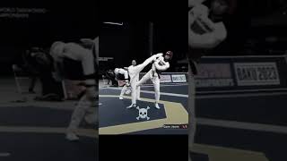 Taekwondo viralvideo martialarts shorts youtube [upl. by Florri]