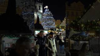 Manchester Christmas Market The Best amp Weirdest Things to Try [upl. by Margette477]