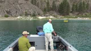 Omak Lake Lahontan Cutthroat [upl. by Eenwahs]