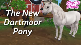 The New Dartmoor Pony  SSO Update [upl. by Eduino]