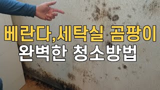 베란다세탁실 곰팡이 완벽히 없앨수 있는 청소방법 곰팡이 스트레스 받지마세요 세상에서 젤 쉬운 청소방법  매직청소tv [upl. by Fishback726]