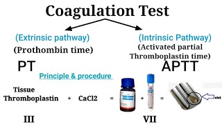 Prothombin time test  Coagulation Test Clotting factor [upl. by Castora756]