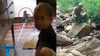 10 Real Goblins Caught On Tape amp Spotted In Real Life [upl. by Ani886]