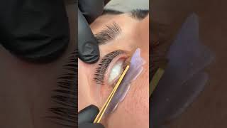 No more clumpy mascara ✨keratin Lash lift tint 💫📍los Angeles CA skincare eyelashlifting short [upl. by Nylevol]