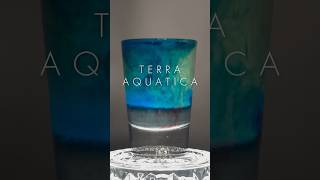 Terra Aquatica cocktail shot  shorts cocktail shots [upl. by Aninad]