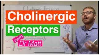 Cholinergic Receptors [upl. by Patterman]