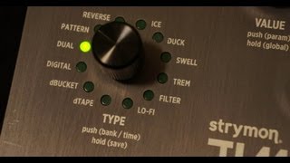 Strymon  Timeline dual delay [upl. by Gignac971]