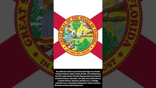 The Meaning Of Florida flag [upl. by Adniuqal]