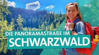 Der Schwarzwald – Von Freudenstadt über die Hochstraße nach BadenBaden  ARD Reisen [upl. by Hna]