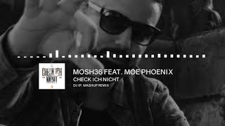 Mosh36 feat Moe Phoenix  Check ich nicht DJ IP Remix [upl. by Tanaka924]