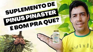 Suplemento de Pinus Pinaster é Bom pra quê [upl. by Mccall]