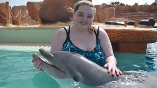 Interaction With Dolphins in Rancho Texas Zoo Waterpark Lanzarote February 6th 2022 [upl. by Leanard31]