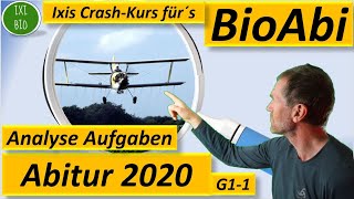 Training Bio Abitur 2022  Abitur Biologie 2020 analysiert  chemische Synapse  Insektizide [upl. by Eecal]