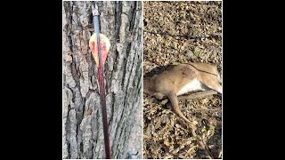 Bow Hunting in IOWA  What they DONT SHOW on TV  Realistic Deer Hunting [upl. by Beckie424]