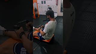 hipertrofia academia treino musculação dicasdetreino [upl. by Novit]