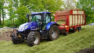 2024  New Holland T6180  Claas Arion  Gras inkuilen  Brouwer Stroe  Grass silage [upl. by Ainit]