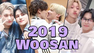 Woosan in 2019  in Chronological Order [upl. by Lokim]