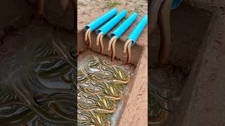 Survival Skills Simple But Very Useful with eel trap shorts survival bushcraft outdoors [upl. by Rickey]