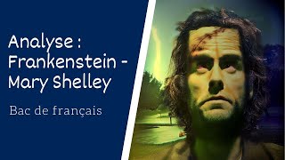 Frankenstein de Mary Shelley Analyse [upl. by Mandeville]