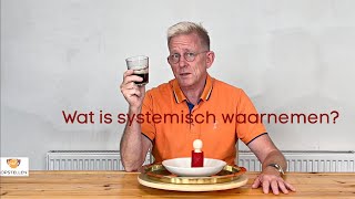 Wat is systemisch waarnemen [upl. by Nnyltiac]