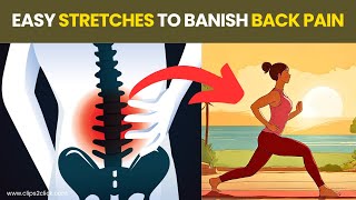 7 Best Lower Back Pain Exercises to Relieve Pain and Improve Mobility [upl. by Laing]