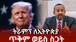 ዶናልድ ትራምፕ ለኢትዮጵያ እድል ወይስ ስጋት  donald trump ethiopia  ethiopian news today  ethiopia [upl. by Subocaj176]