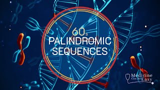 Genetics in 60 seconds Palindromic sequences [upl. by Malloch249]