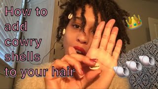 How To Put A Cowry Shell In Locs [upl. by Ogden]