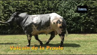 Vulcain de la Praule [upl. by Dorine]