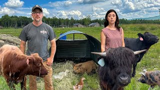 They All Have to GO Building Our OFF GRID Homestead in the WOODS [upl. by Everrs]