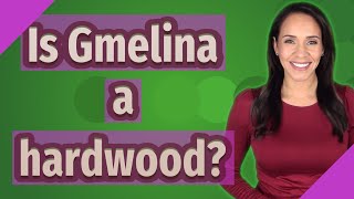 Is Gmelina a hardwood [upl. by Bradlee538]