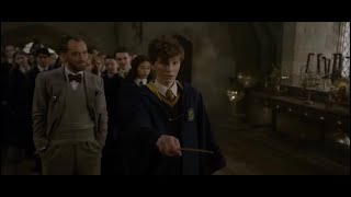 Newt captures Zouwu from Fantastic Beasts  The Crimes of Grindelwald [upl. by Einaffets]