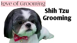 Grooming a Shih Tzu  Basic Clip [upl. by Steinke]