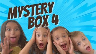 Mystery Box Challenge 4 [upl. by Amiel348]