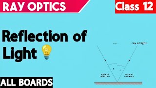 Reflection of Light Class 12 Physics  Chapter 9 Ray Optics amp Optical Instruments  physics video [upl. by Letha]